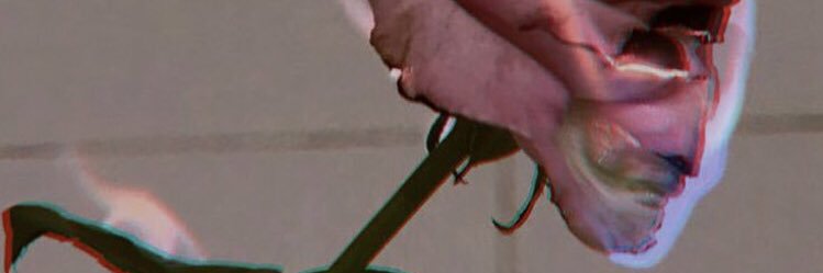 rmadisonq's profile banner image