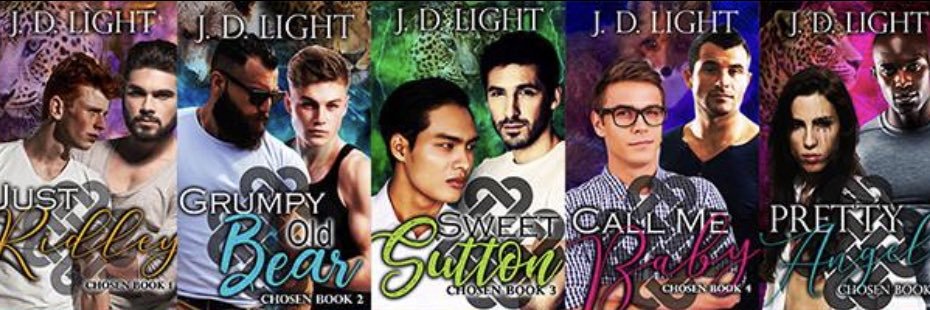J. D. Light banner