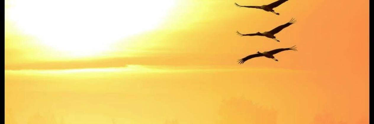 EdFromCT banner