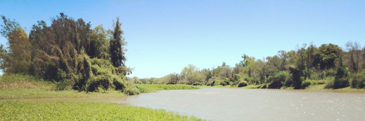 Bruno Ferrari banner