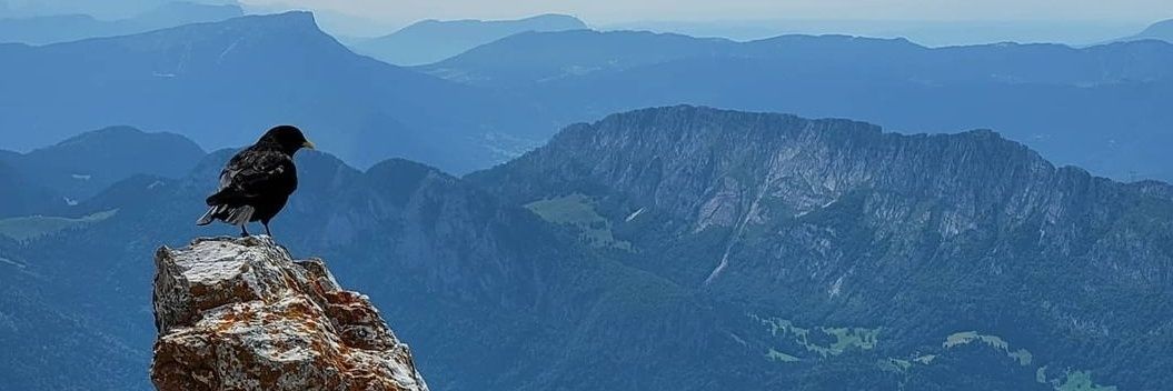 Theelcoco's profile banner image