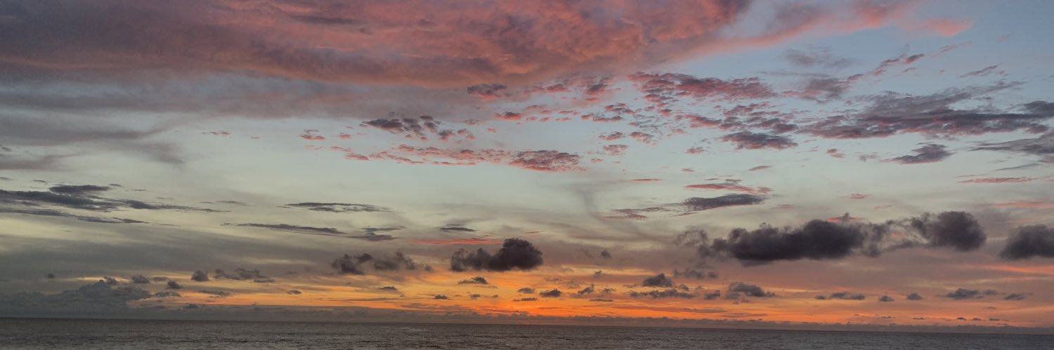 MariaPaulaGay's profile banner image