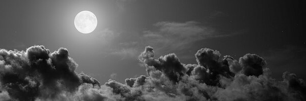 financeamir Profile Banner