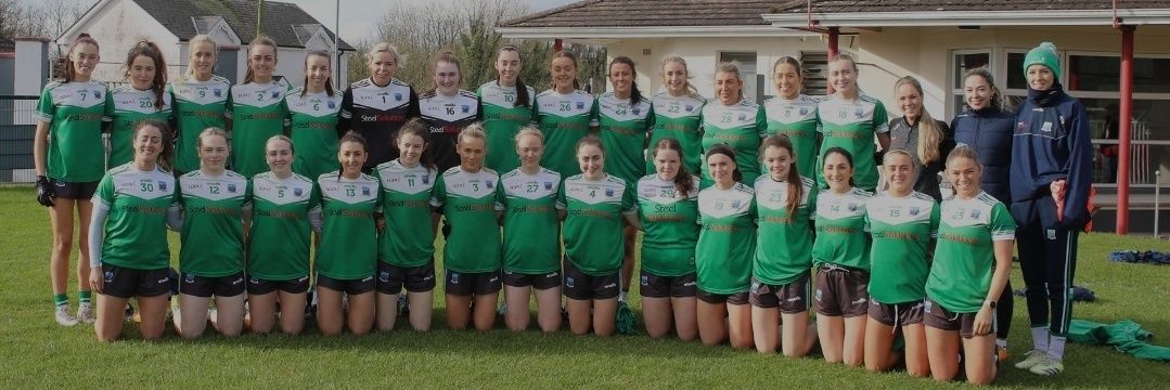 fermanaghladies's profile banner image