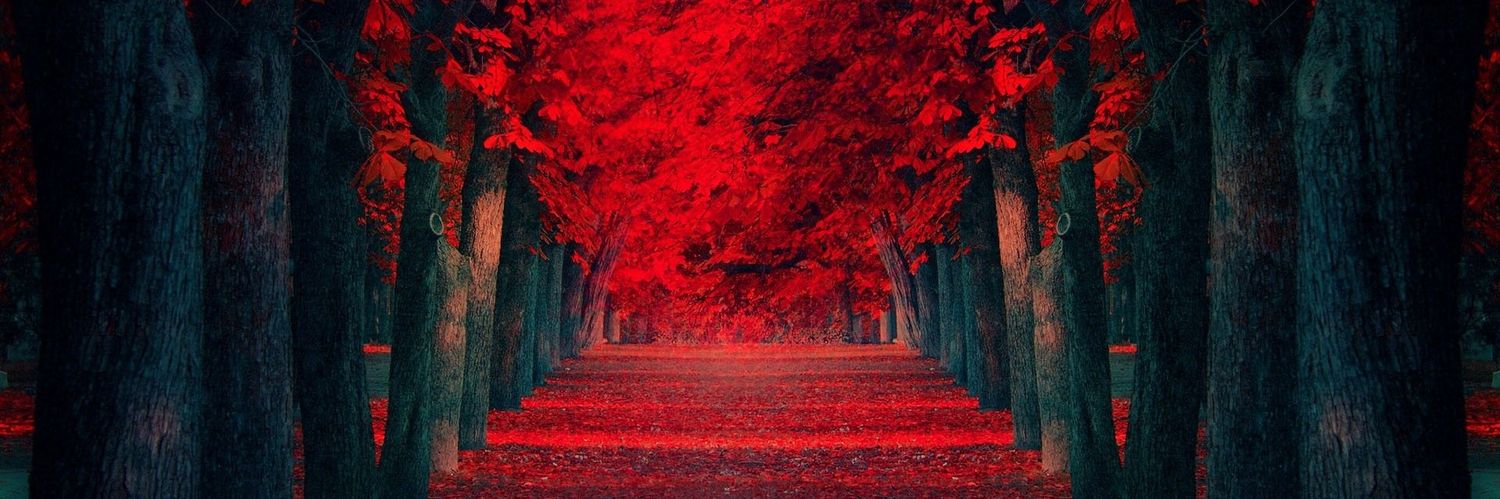 Autumnking7's profile banner image