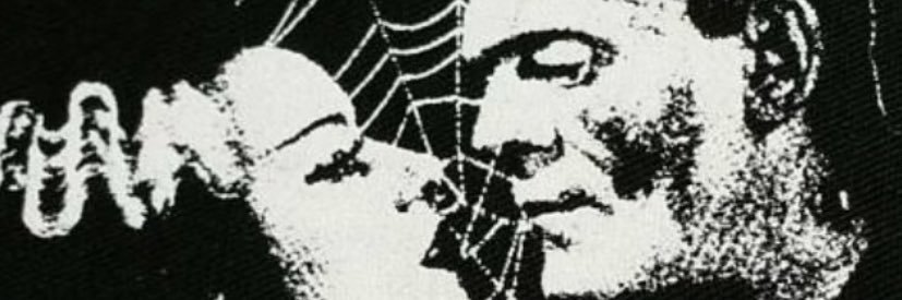 nopalitogoth_'s profile banner image