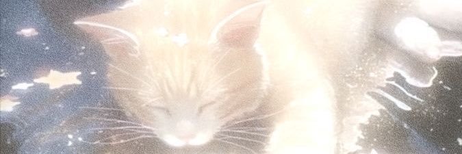 Butterf5707858's profile banner image