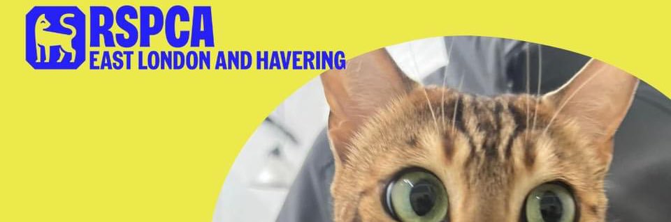 RSPCA East London and Havering Branch banner