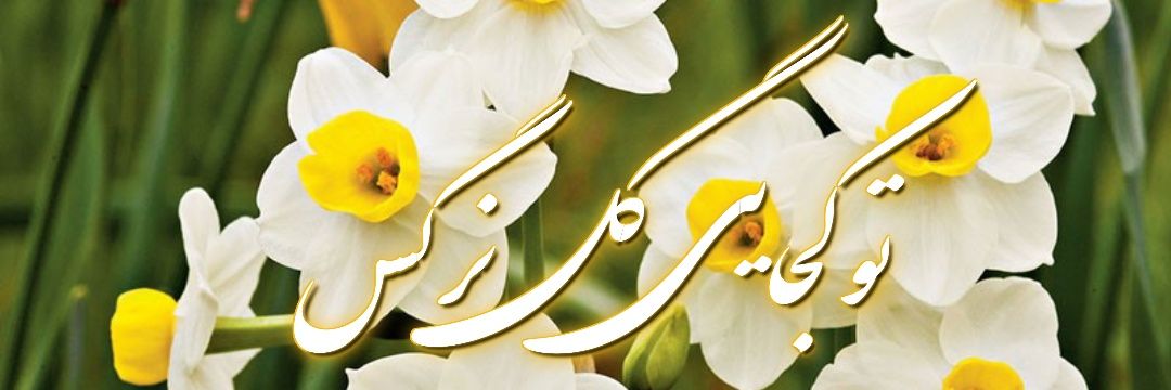 h~°313°~b's banner