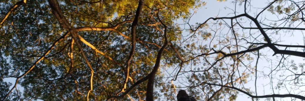 esaendeyeay's profile banner image