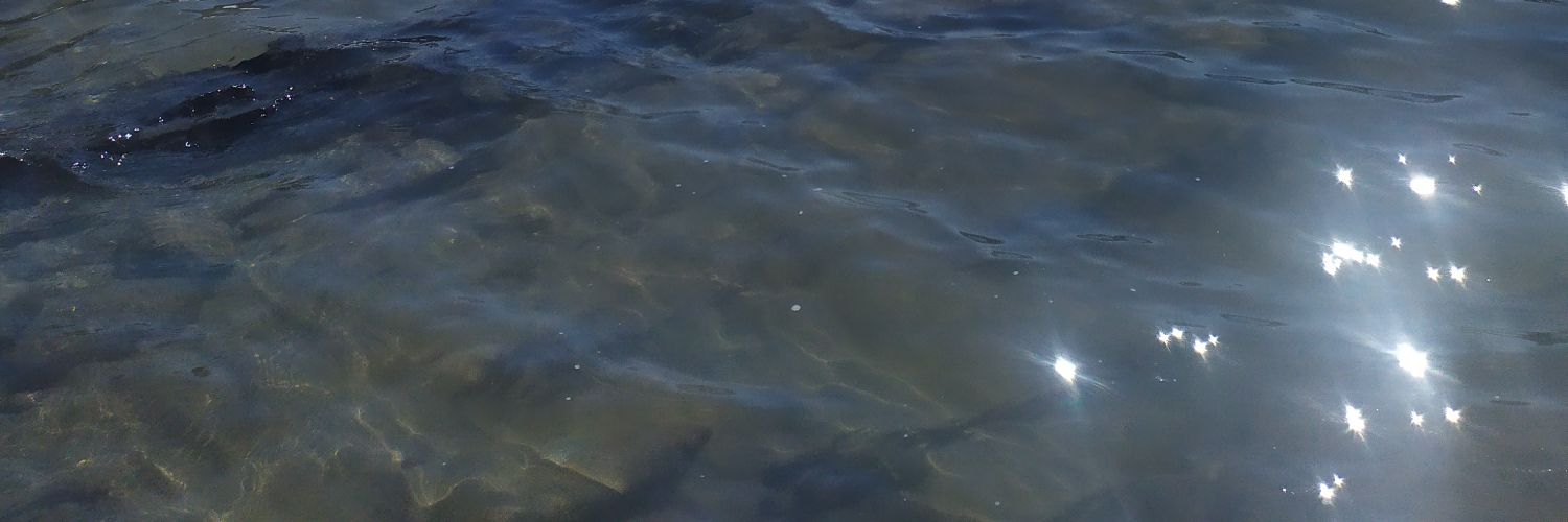 the_bed_worm banner