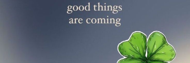 H E M S L E Y banner