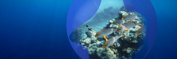 thewave_global Profile Banner