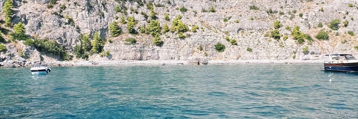 jillBristol 🌸 banner