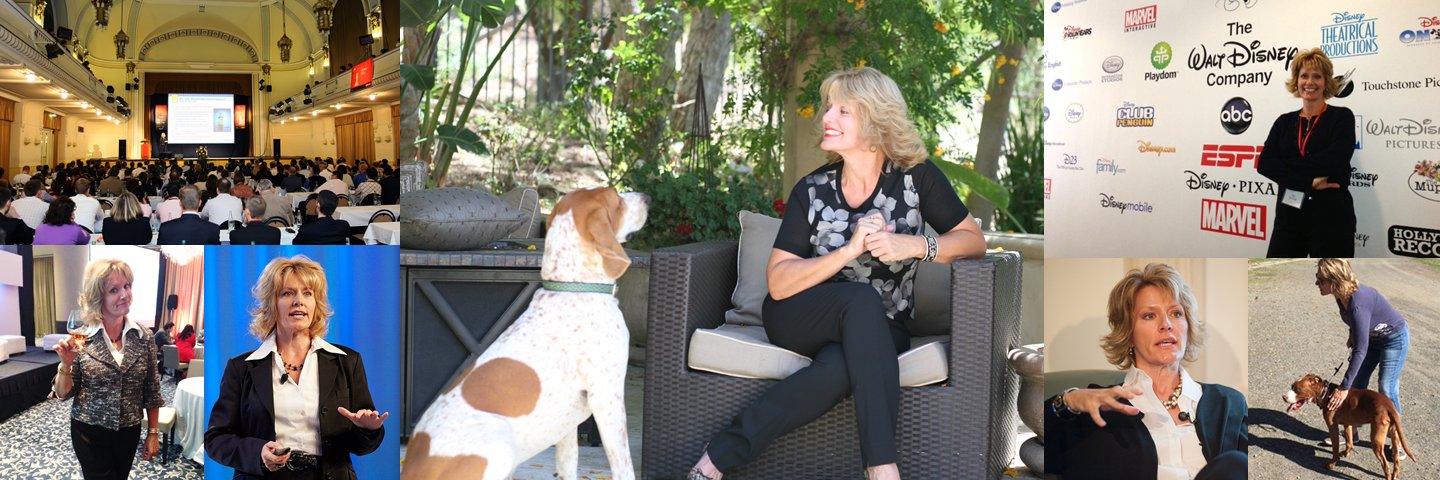 jilldyche's profile banner image