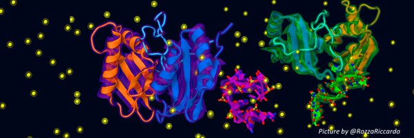 SCIDCSB Profile Banner