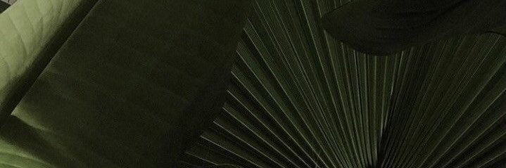 kauramoss's profile banner image