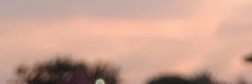 aylen banner