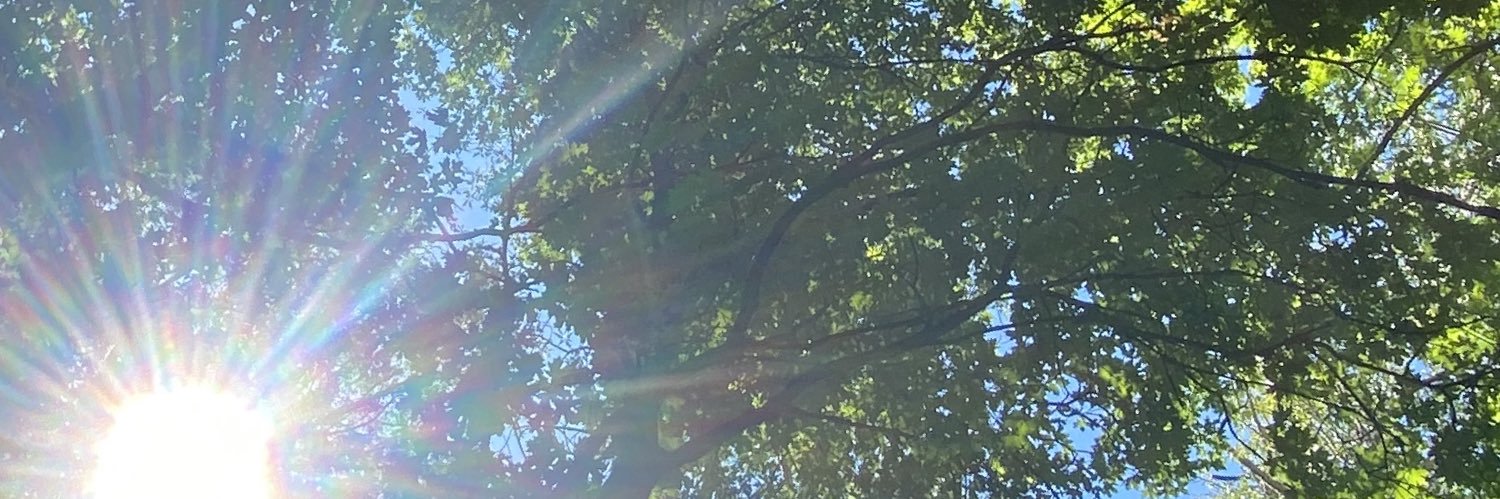 UtahMama4's profile banner image