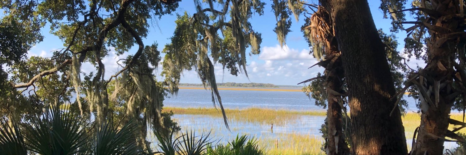 Amy Stuart, PT, MPT banner