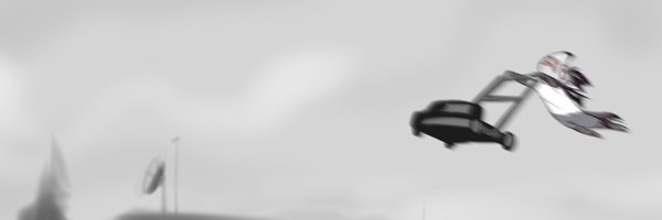 SmollNitf Profile Banner