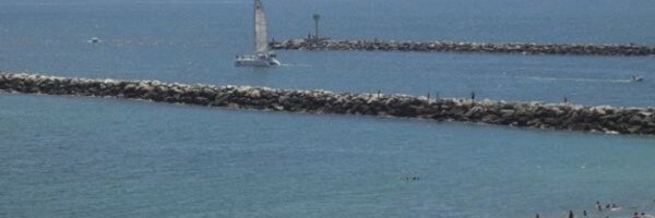 SharonPaxson Profile Banner