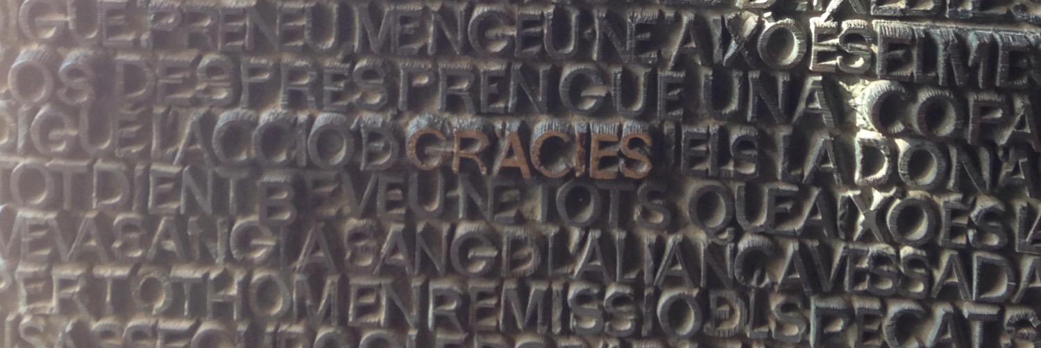 graceschilder's profile banner image