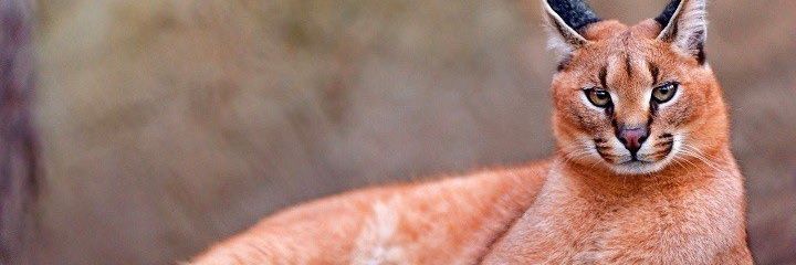 katseye_berry's profile banner image