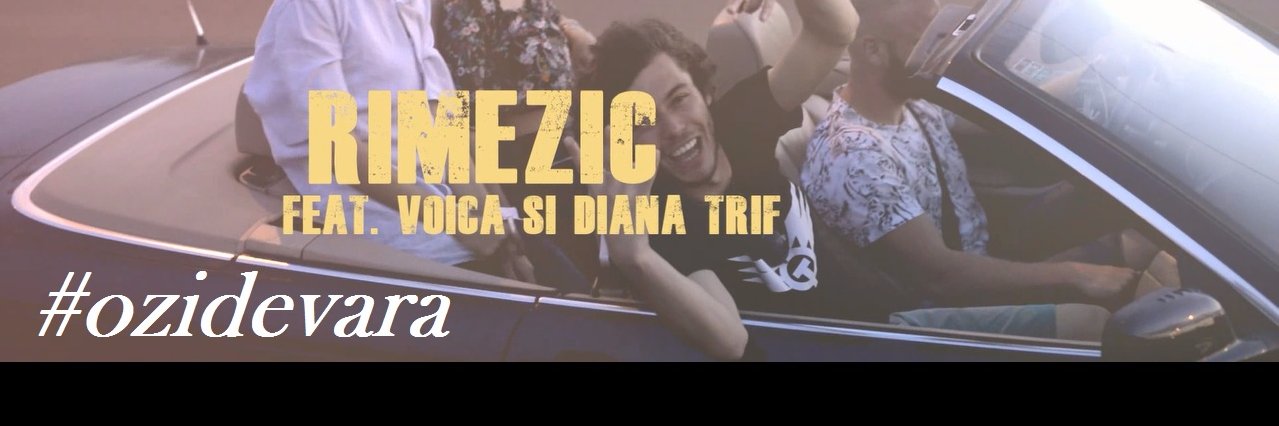 RimeZic's profile banner image