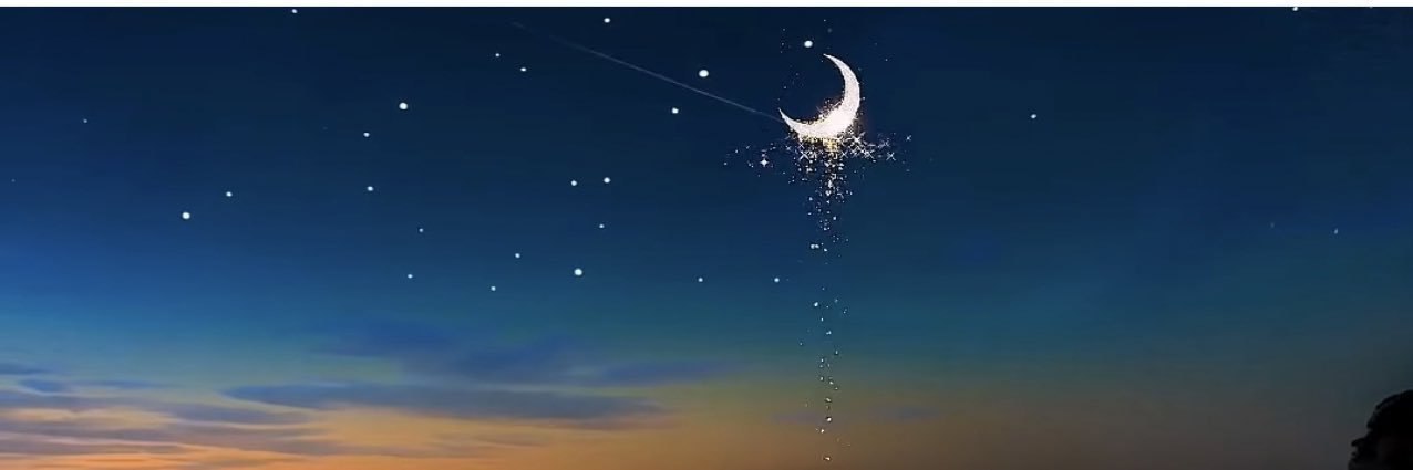 Regina Warren banner