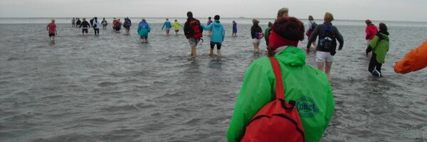 walkurax Profile Banner