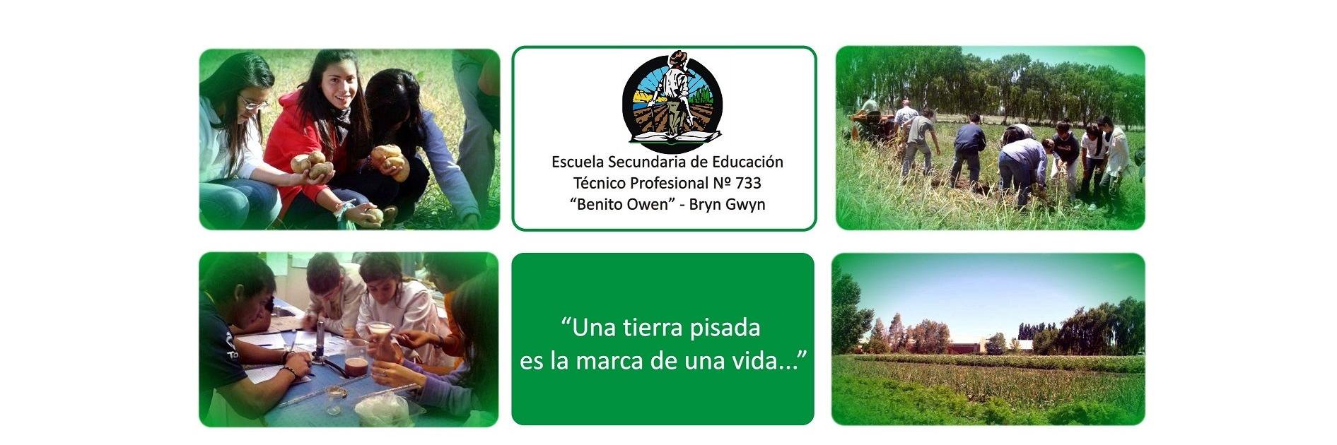 agro733's profile banner image