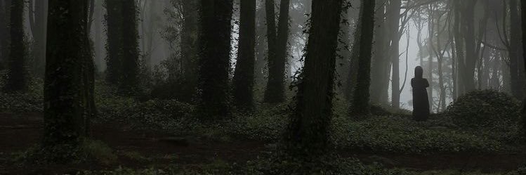 tune banner