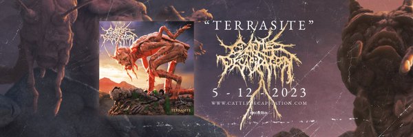 cattledecap Profile Banner