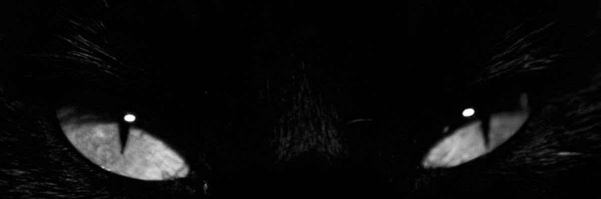 U Know banner