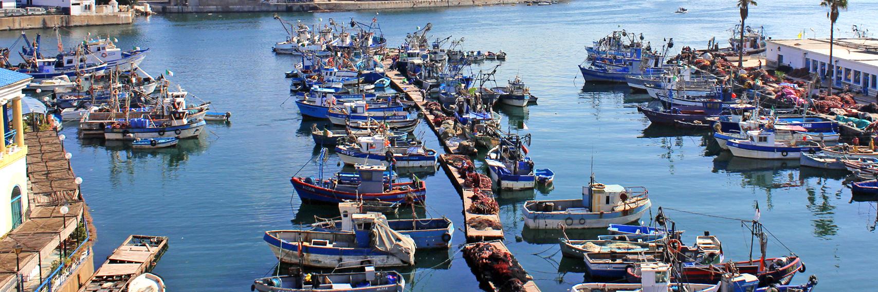 AlgeriaSIPA's profile banner image