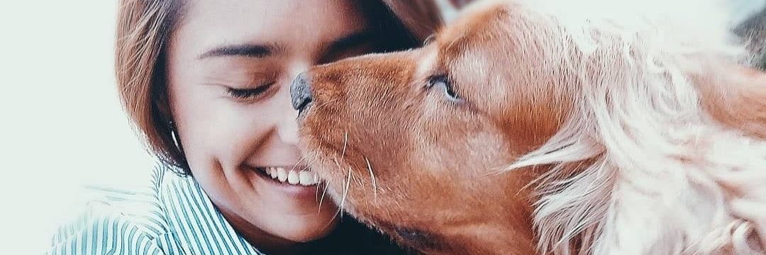 MariaMusa_'s profile banner image