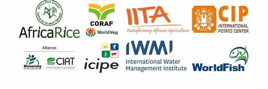 TAFS-WCA initiative banner