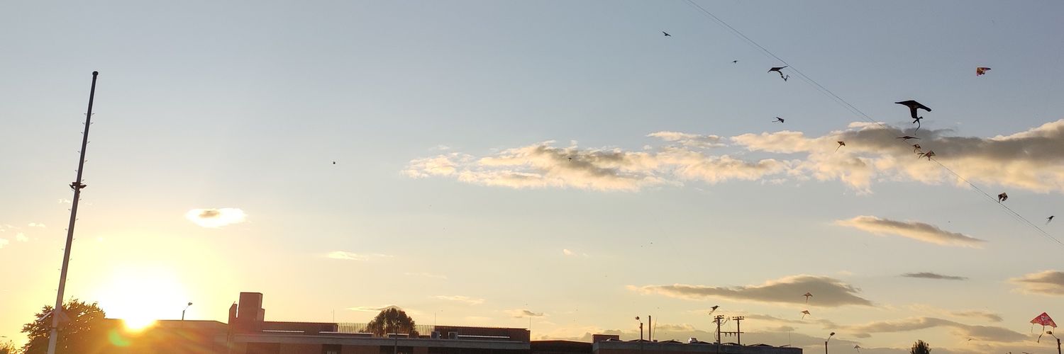 obando2311's profile banner image