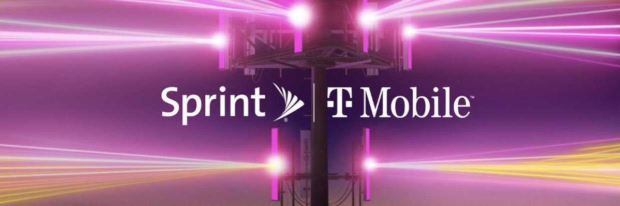 Emily VanGorder banner