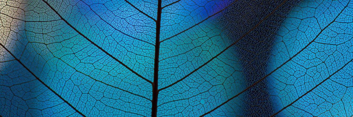 biomlsociety's banner