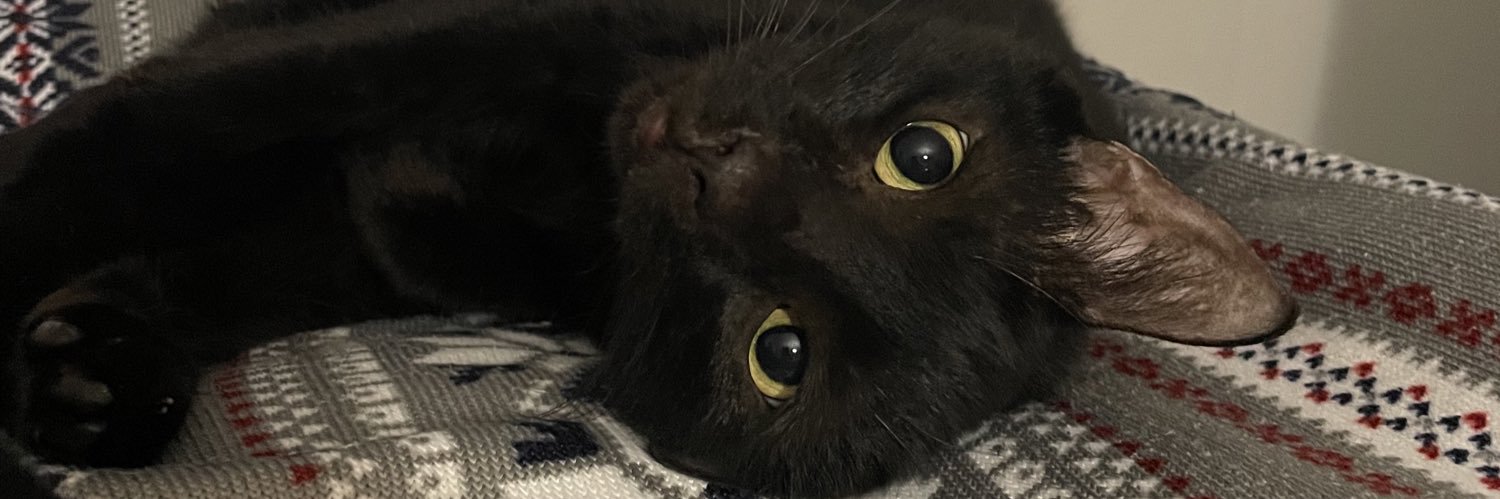 Follow @DannyVegito banner