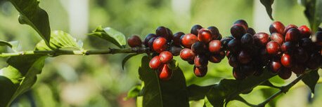 タリーズコーヒージャパン株式会社 banner