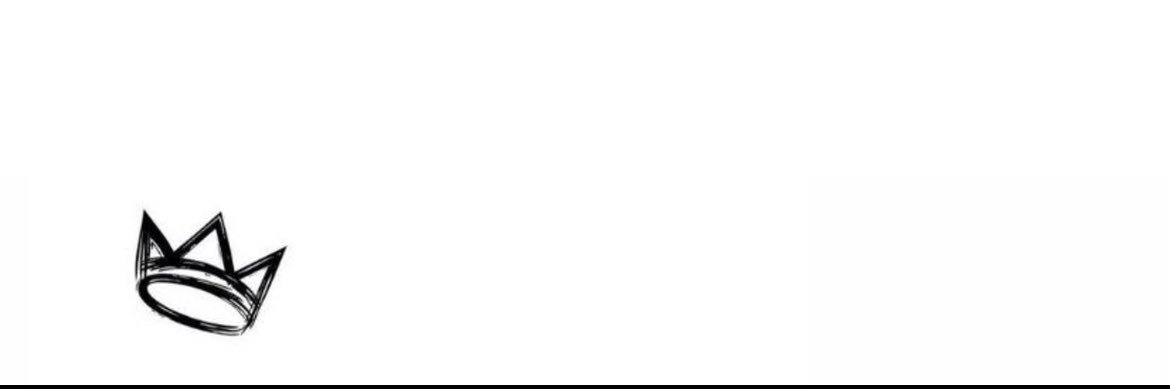 serjota15🦊 banner