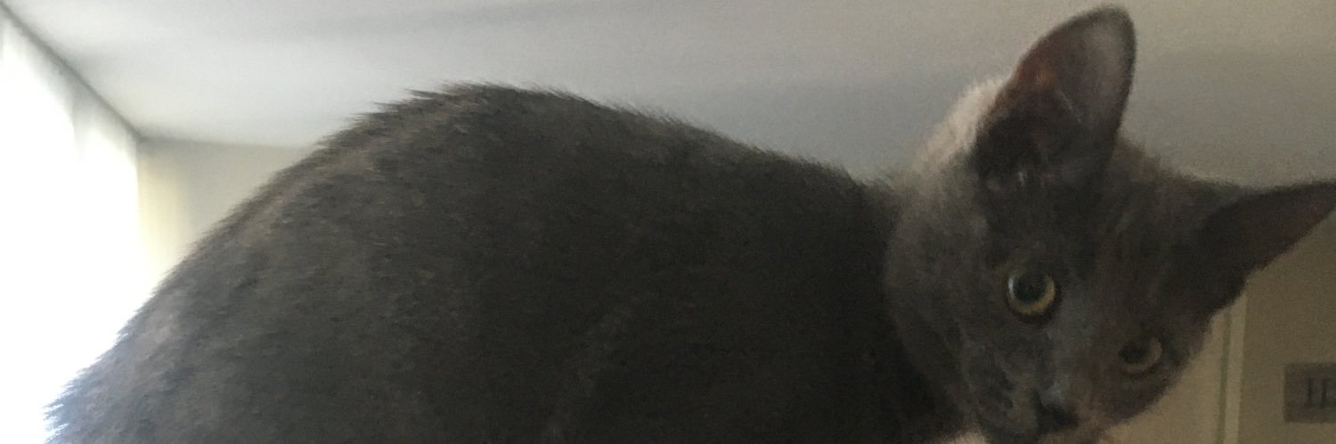 bstronz's profile banner image