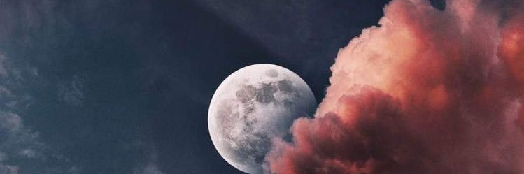 Taniannee's profile banner image