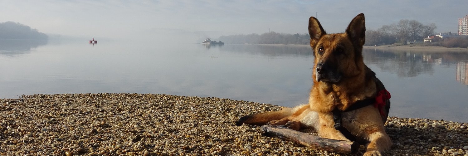 german_alexia banner