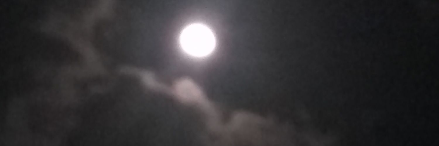 sandraveneranda's profile banner image