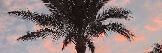 vaarviee's profile banner image