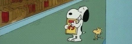 cocoa banner